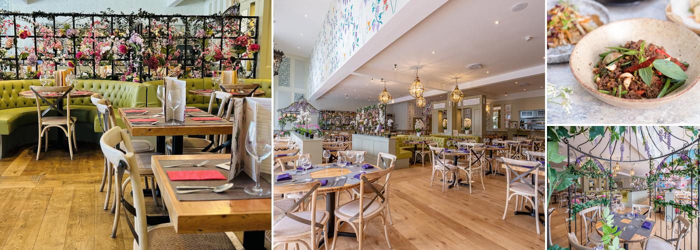 Giggling Squid - Mere Green