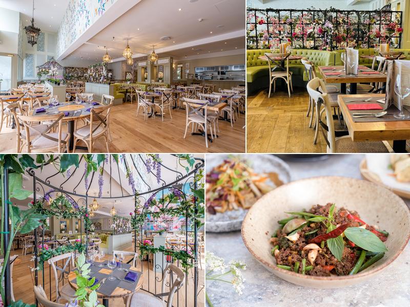 Giggling Squid - Mere Green