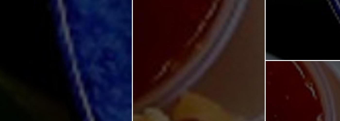 Thai Express (Nottingham) Menu