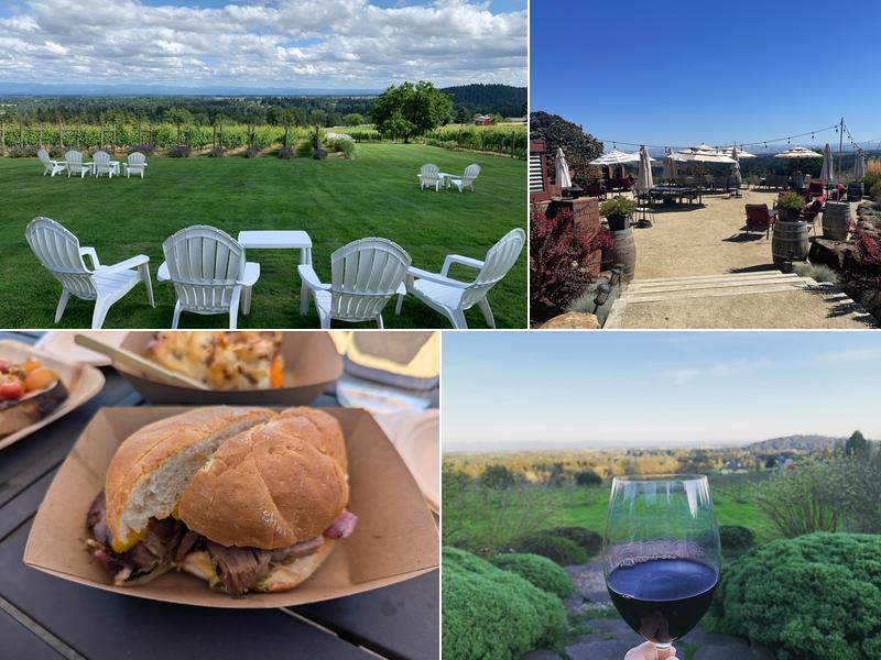 Terra Vina Wines Vineyard