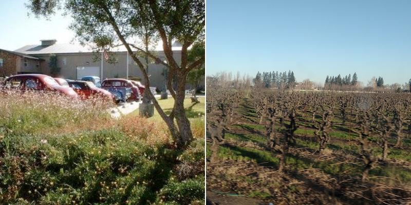 Housley's Century Oak Winery