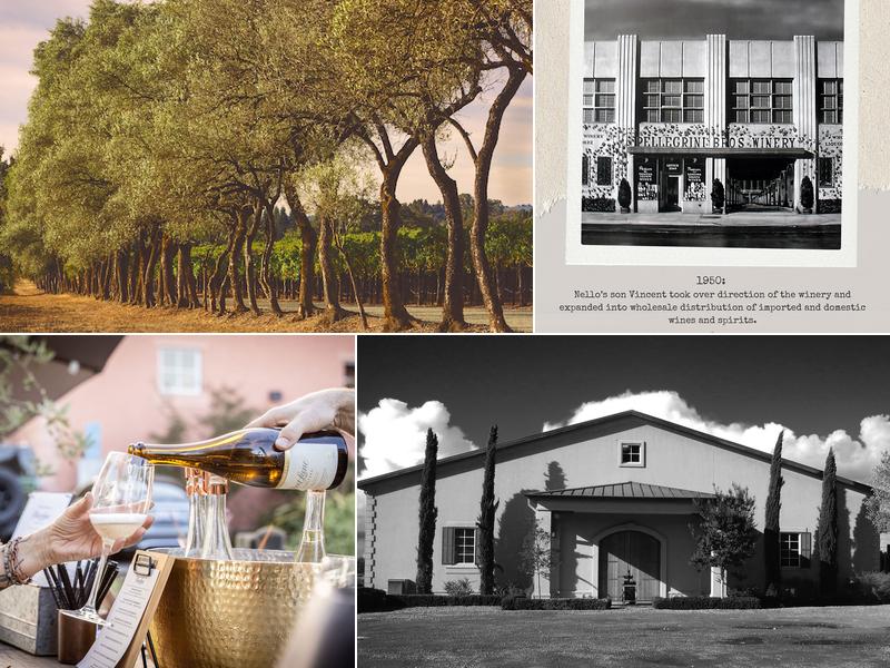 Pellegrini-Olivet Lane 4055 W Olivet Rd, Santa Rosa