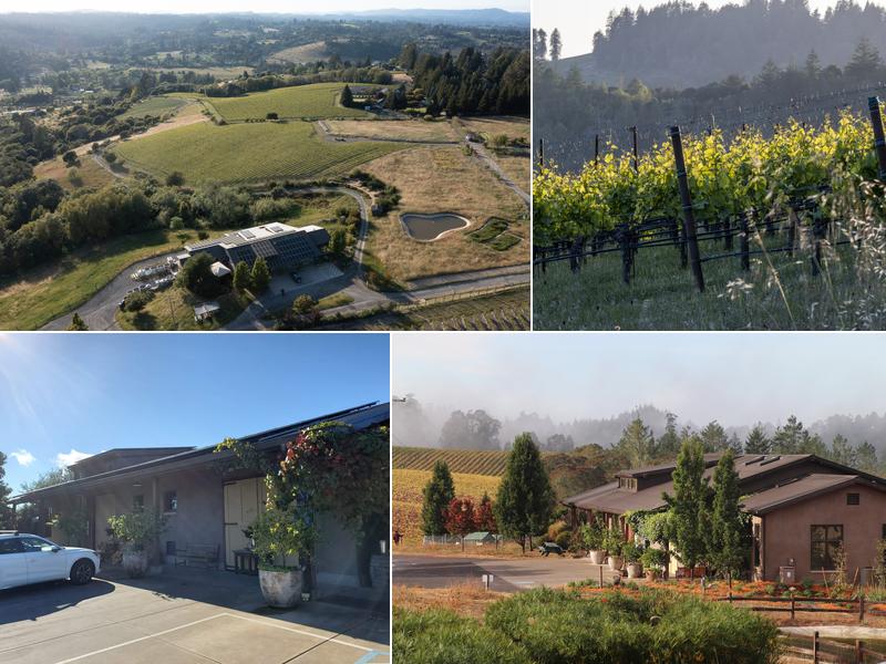 Littorai 788 Gold Ridge Rd, Sebastopol