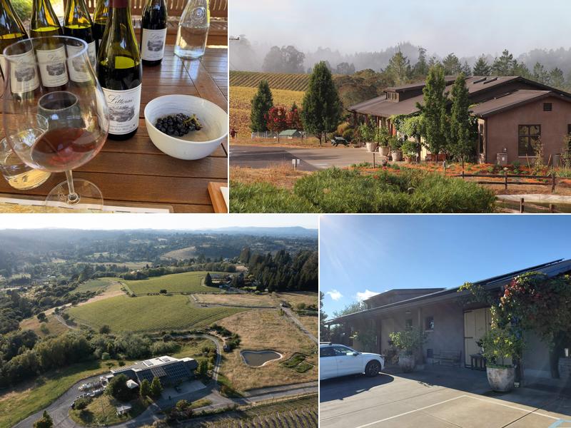 Littorai 788 Gold Ridge Rd, Sebastopol