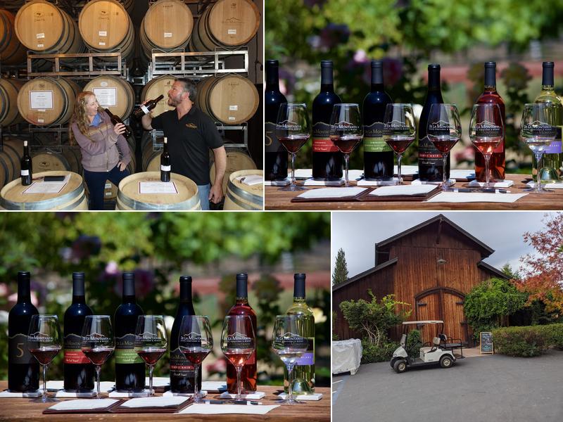 De La Montanya Vineyards & Winery 999 Foreman Ln, Healdsburg