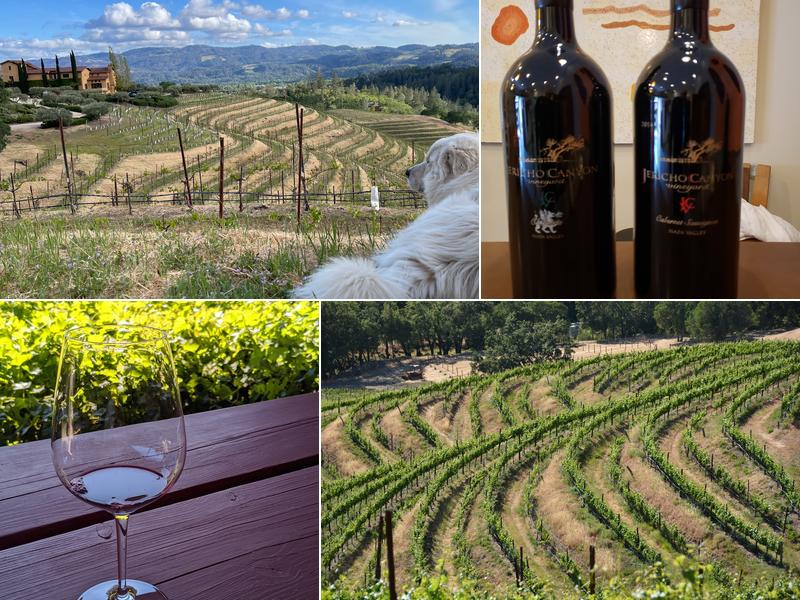 Jericho Canyon Vineyard