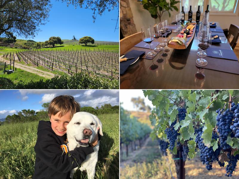 Fontanella Family Winery 1721 Partrick Rd, Napa