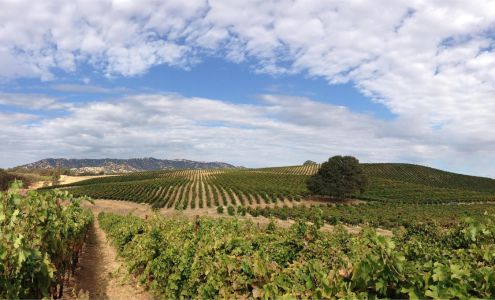 Berryessa Gap Vineyards Downtown Tasting Room Winters