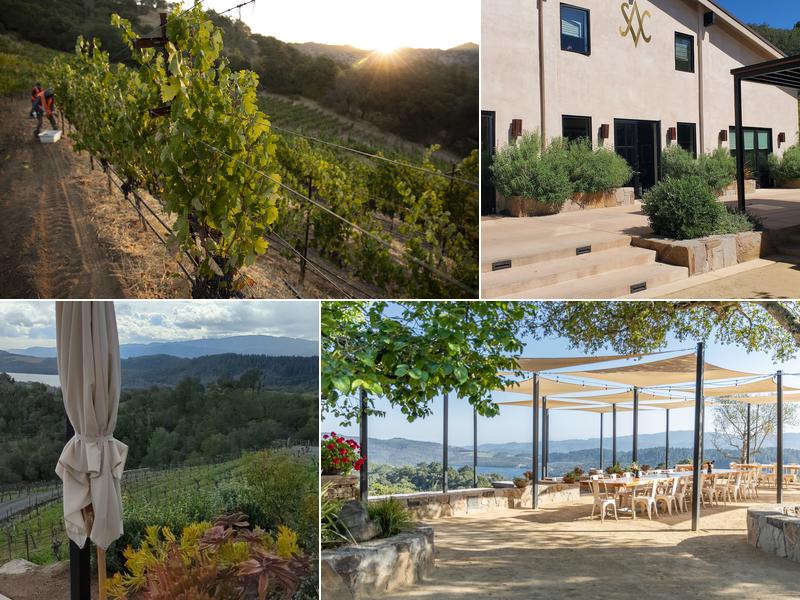 Amizetta Vineyards 1099 Greenfield Rd, St Helena