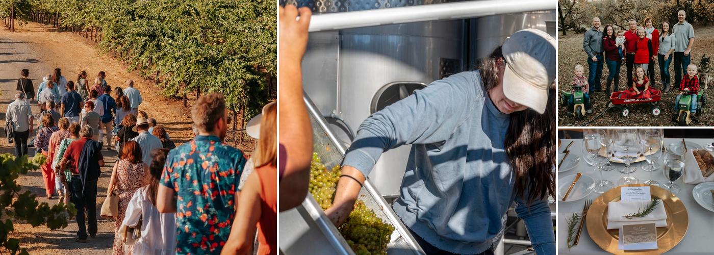 Bacigalupi Vineyards & Winery