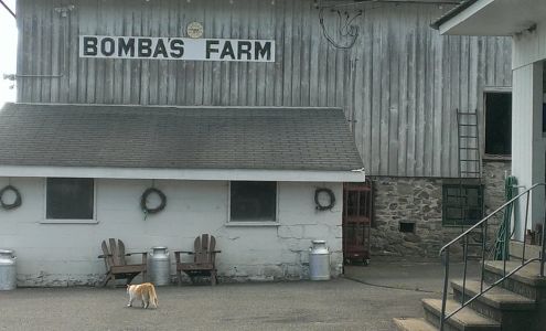 Bomba Brothers Farm