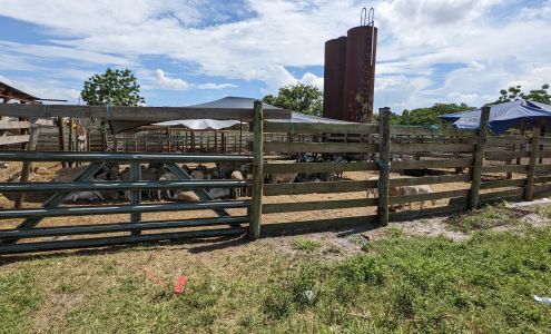 Ali Meat International