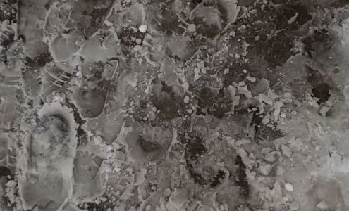 Nachos Mini Market Bridgeton