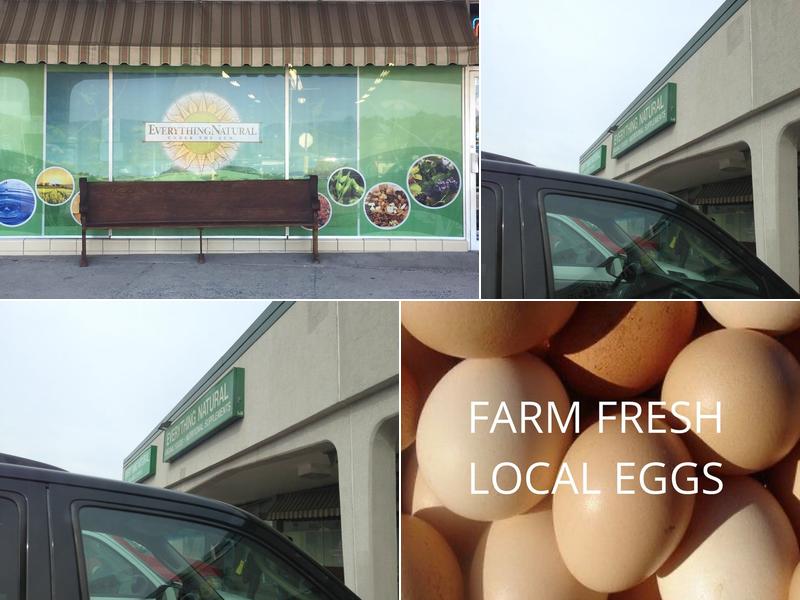 Everything Natural Under the Sun 3415 Pleasant Valley Blvd #14, Altoona