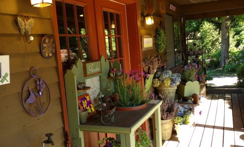 Barn Owl Nursery - Herb & Lavender Farm