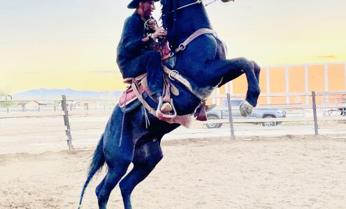 Dark Horse Ranch