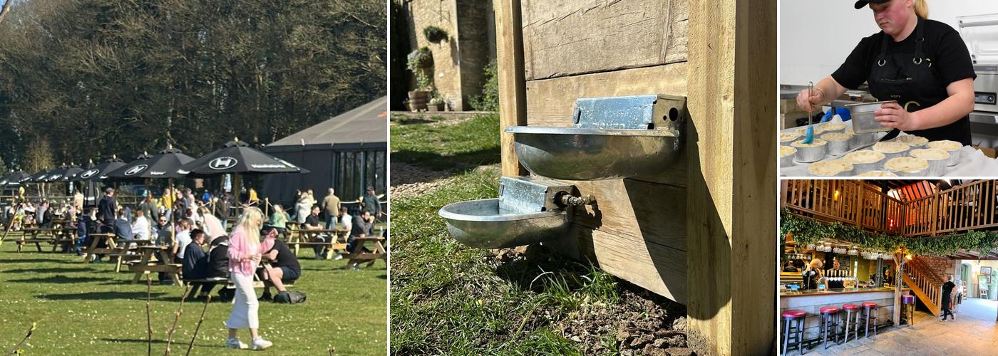 The Farmer’s Dog Site