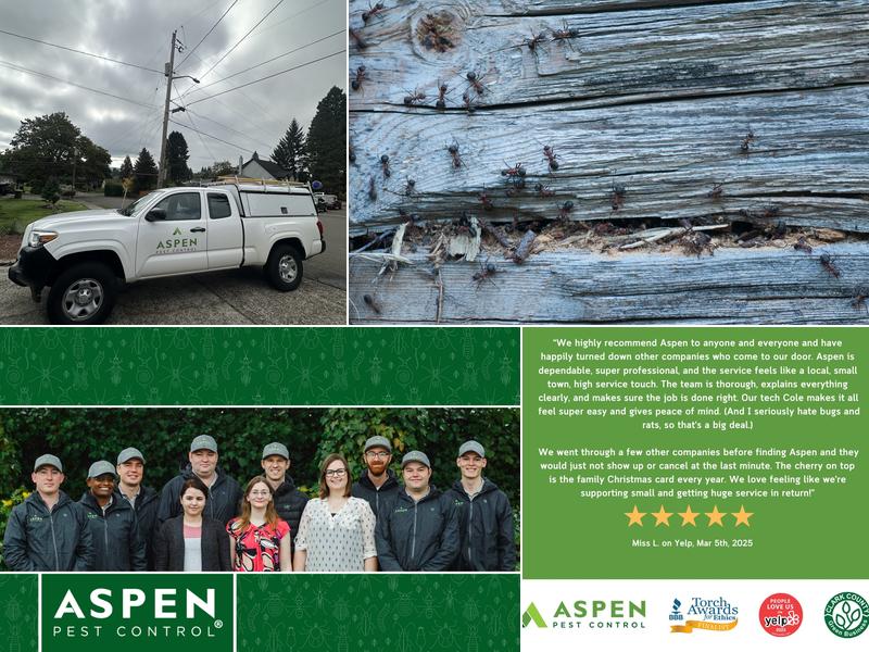 Aspen Pest Control