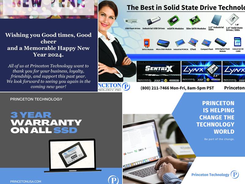 Princeton Technology Inc