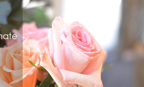 Lily Skin Care Solutions