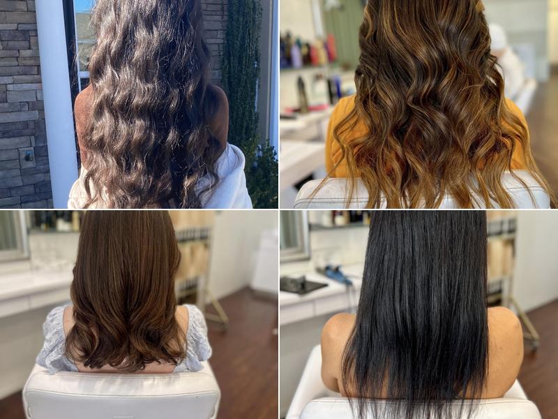 Primp and Blow Evans