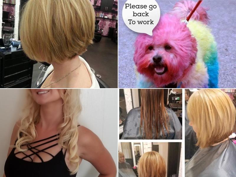 Chellie Capelli Salon