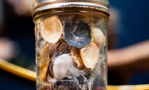 Paint Me Hair Studio