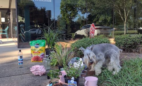 Best little HAIRhouse Charlotte