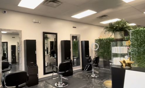 The Curl Theory Salon