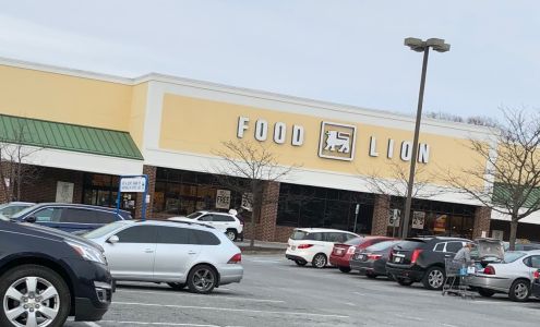 Food Lion Pasadena
