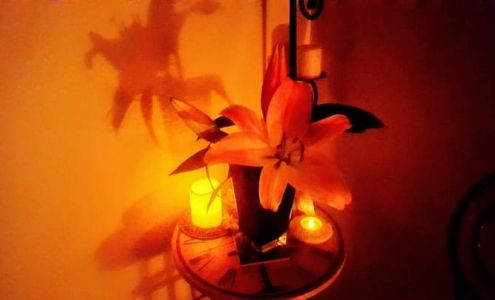 Blissfull Bodywork & Massage 2302 Azure Ln, Vista California 92081