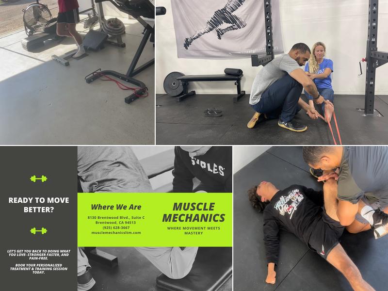 Muscle Mechanics LTM