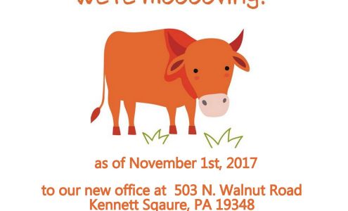 Hunter Family Acupuncture & Wellness 503 N Walnut Rd STE 100, Kennett Square Pennsylvania 19348