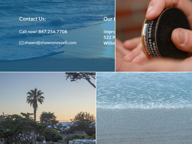 Shawn Mossell Improved Living Institute