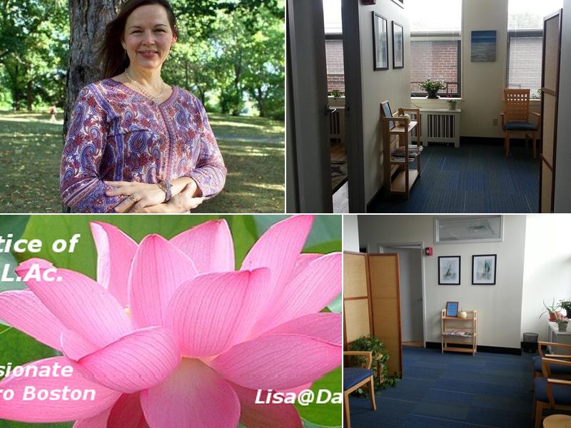 The Acupuncture Practice of Lisa Desrosiers, M.Ac, L.Ac. (Davis Square Acupuncture)