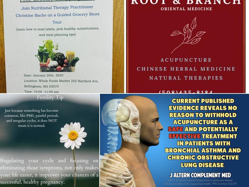 Root & Branch Oriental Medicine