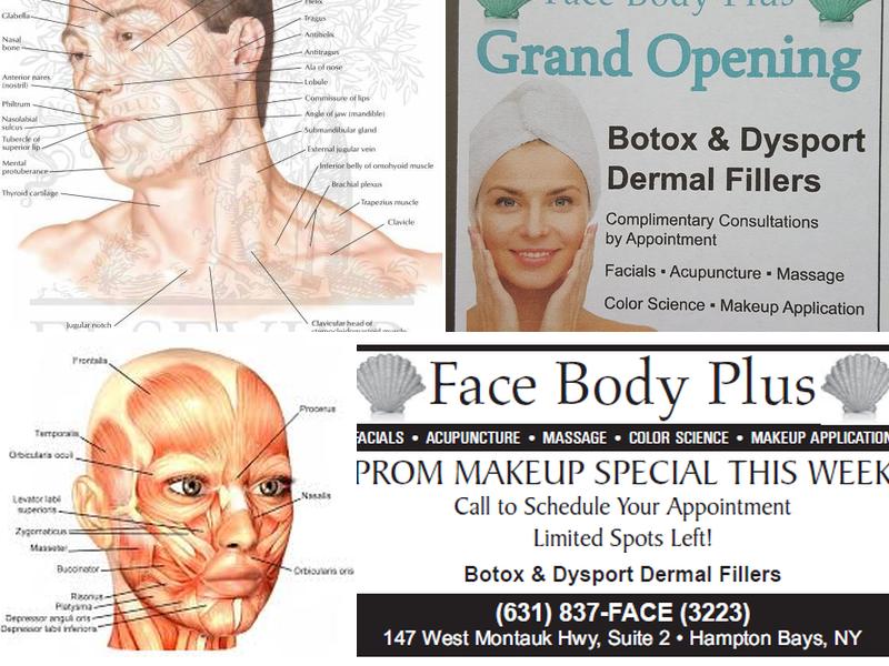 FACE BODY PLUS