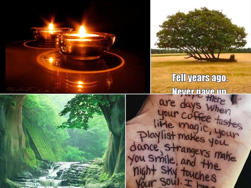 Guided Touch Therapies