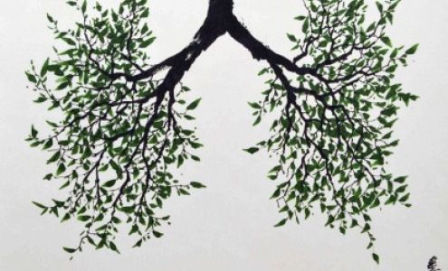 Channel Acupuncture & Herbs