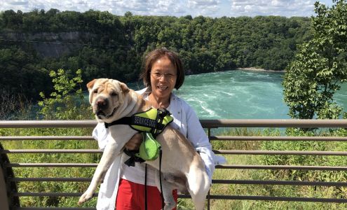 Kelly's Oriental Medicine 7709 Cliffdale Rd, Fayetteville North Carolina 28314