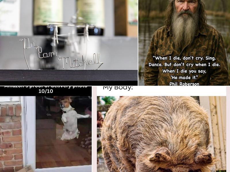 Pamala A. Mitchell, DC