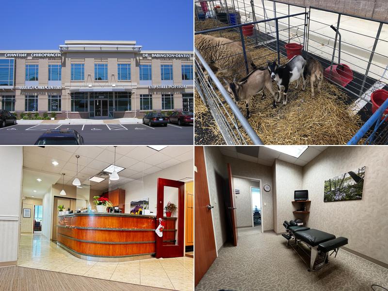 Chantilly Chiropractic Center, P.C.