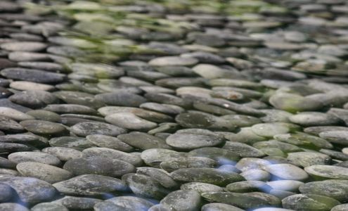 Cloud 9 Acupuncture 3201 Glacier Ridge Rd Second Level, Middleton Wisconsin 53562