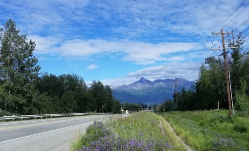 Body Piercing Unlimited & Tattoo Palmer