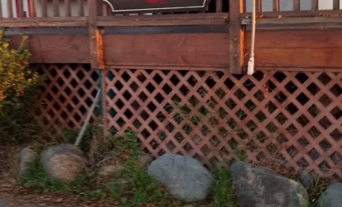 Inkyard Tattoo 255 Thalia St, Laguna Beach California 92651