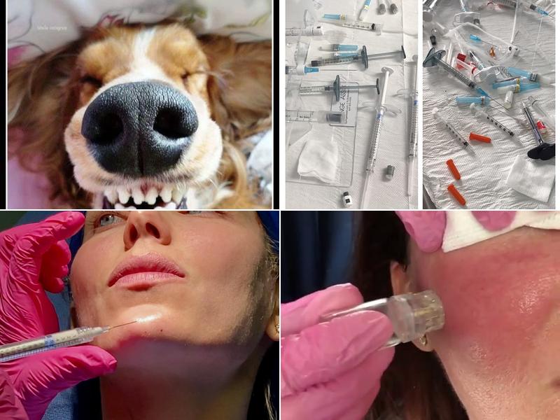 Lisa Topham, Split Rock Aesthetic Institute