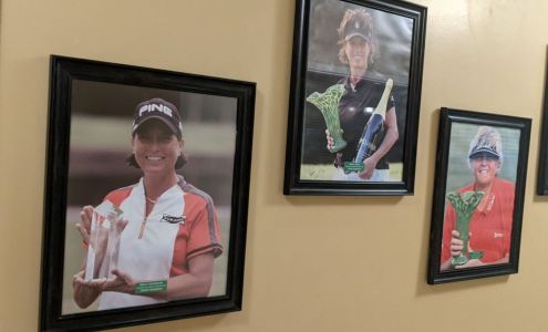 Innisbrook Resort 36750 US Hwy 19 N, Palm Harbor Florida 34684