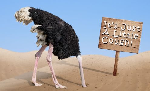 Preferred Health and Wellness