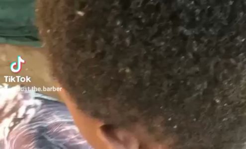 Dust the Barber 12258 South Farm to Market Road 730, Azle Texas 76020