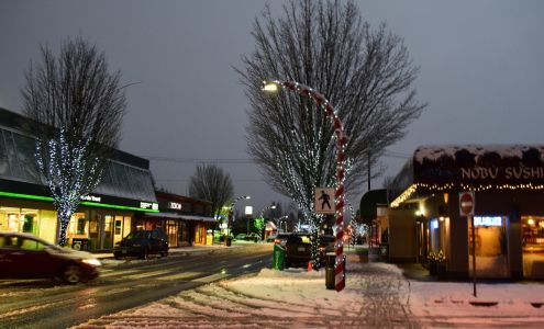 Edgemont Massage Therapy 3046 Edgemont Blvd Suite 8, North Vancouver British Columbia V7R 2N4